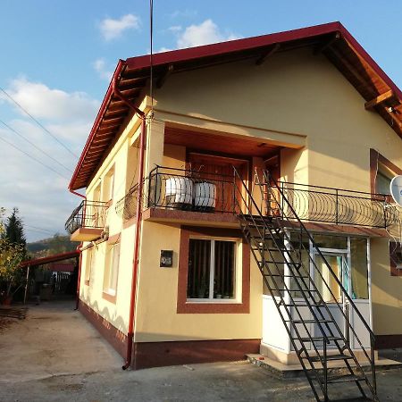 Casa Lidia Si Gogu Hotel Budeasa Mare Екстериор снимка