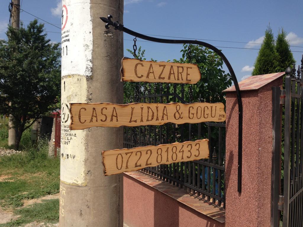 Casa Lidia Si Gogu Hotel Budeasa Mare Екстериор снимка