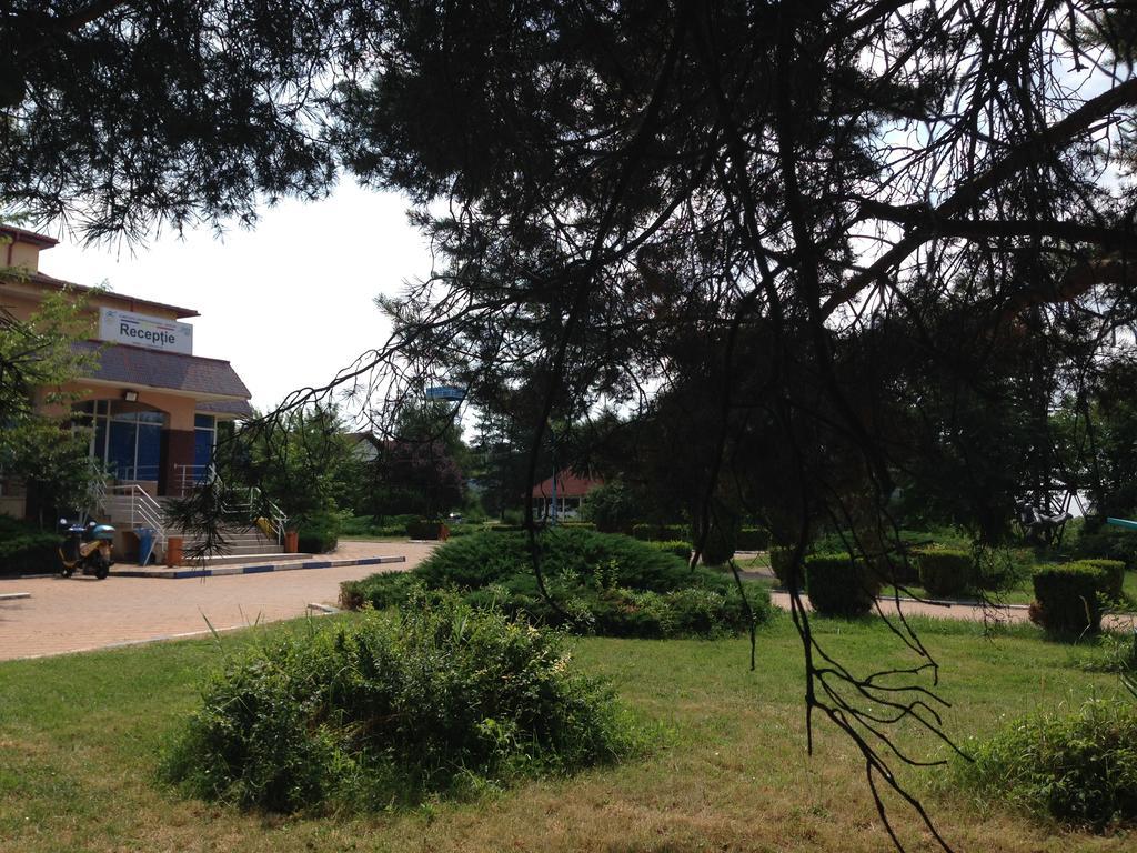 Casa Lidia Si Gogu Hotel Budeasa Mare Екстериор снимка