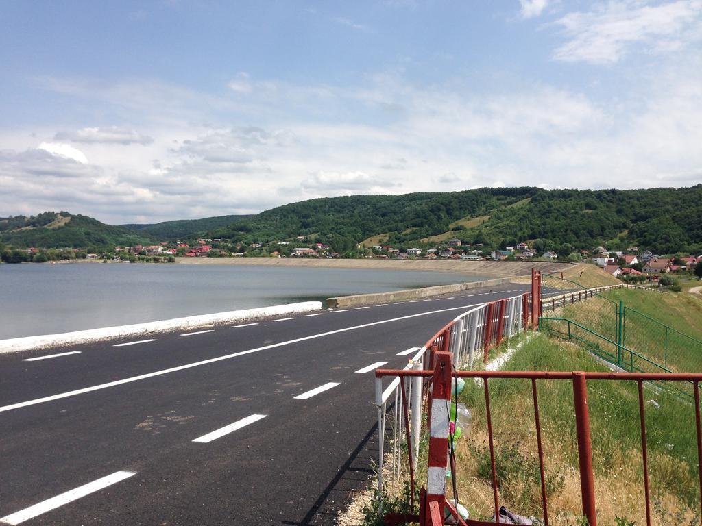 Casa Lidia Si Gogu Hotel Budeasa Mare Екстериор снимка
