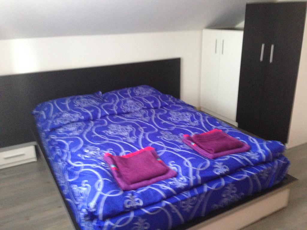 Casa Lidia Si Gogu Hotel Budeasa Mare Екстериор снимка