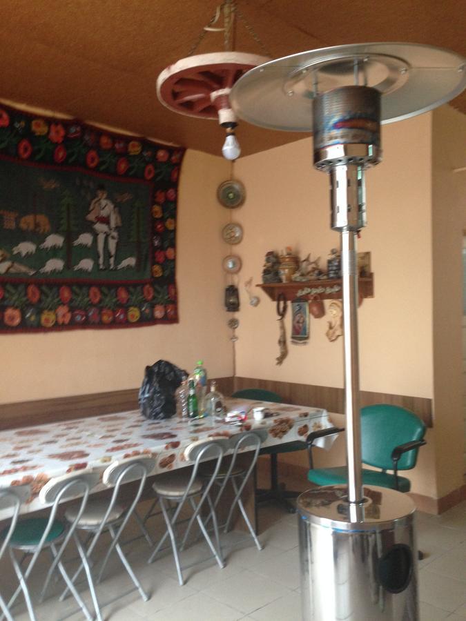 Casa Lidia Si Gogu Hotel Budeasa Mare Екстериор снимка