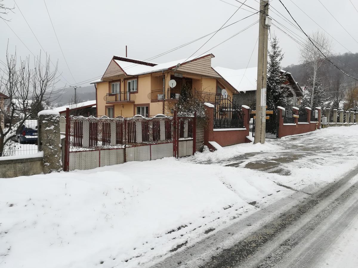 Casa Lidia Si Gogu Hotel Budeasa Mare Екстериор снимка