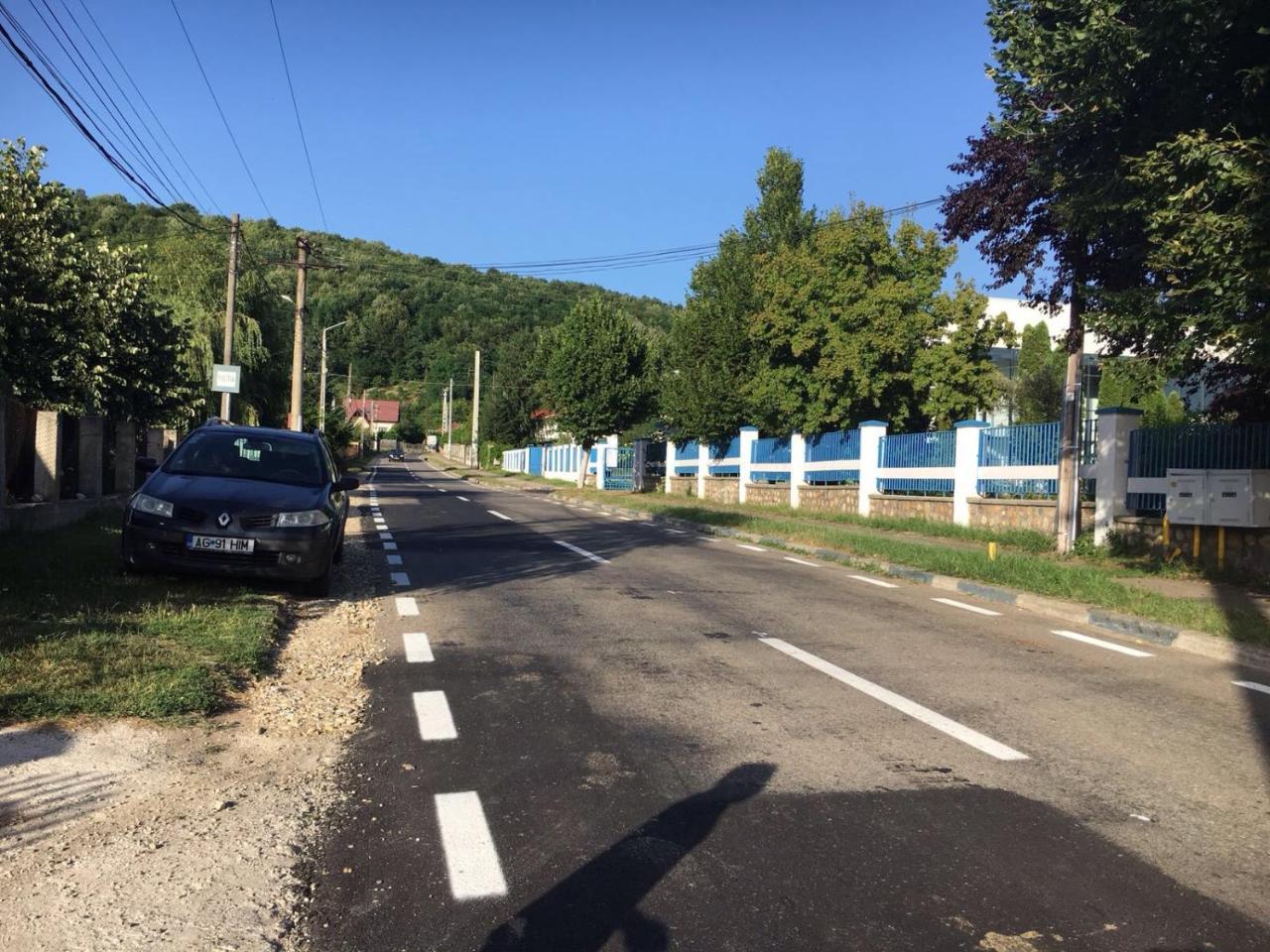 Casa Lidia Si Gogu Hotel Budeasa Mare Екстериор снимка