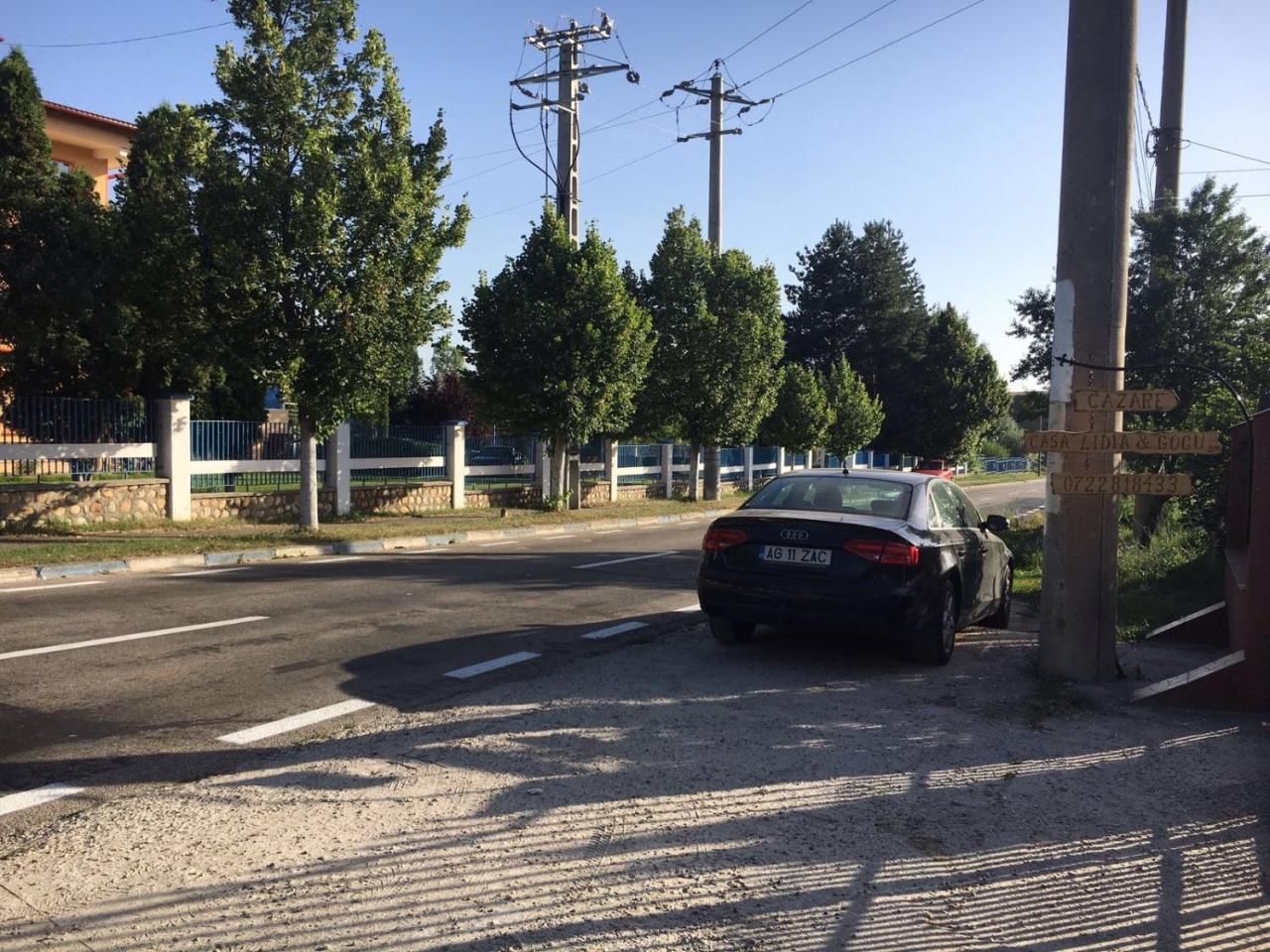 Casa Lidia Si Gogu Hotel Budeasa Mare Екстериор снимка